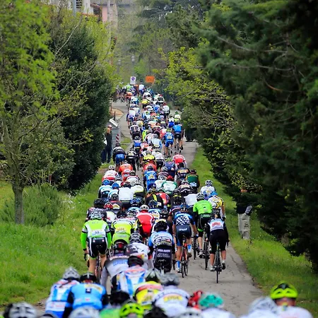 Apartamento Casadei Sweet Design & Relax - Parking