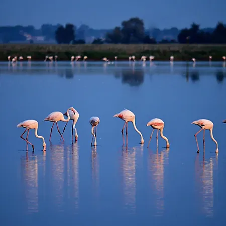 Casadei Sweet Design & Relax - Parking Cervia