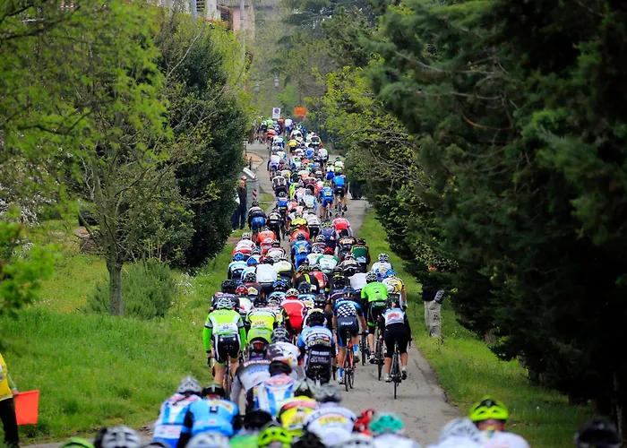 公寓 Casadei Sweet Design & Relax - Parking