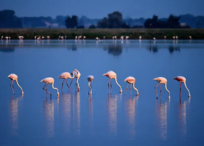 Casadei Sweet Design & Relax - Parking Cervia